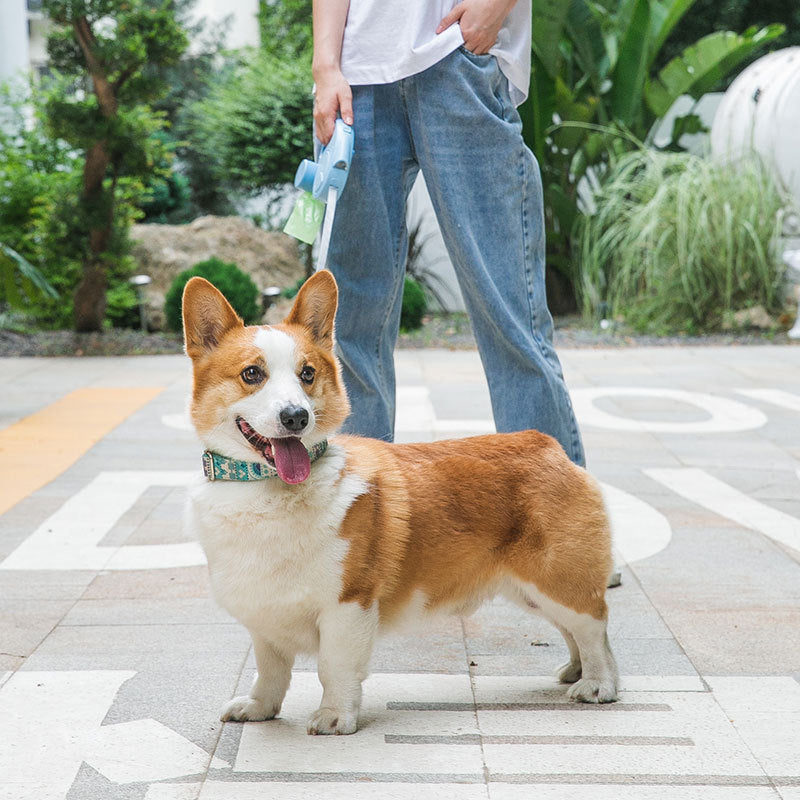 Dog Traction Rope With Light Automatically Retractable Small And Medium-sized Dogs