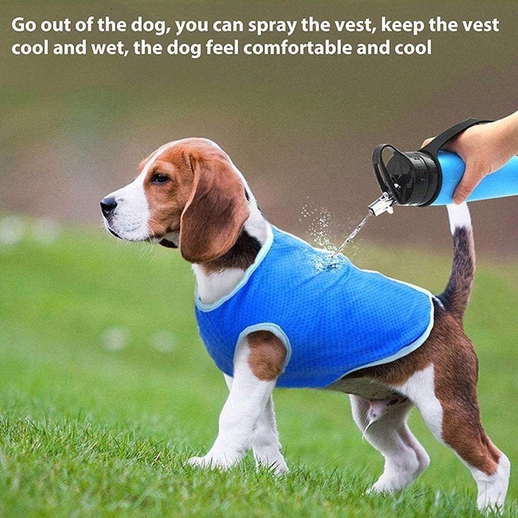 Small dog wearing a blue dog summer cooling vest for heat relief