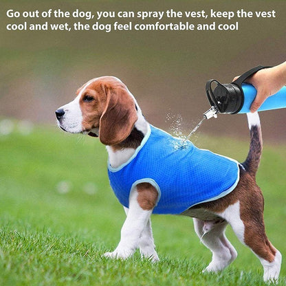 Small dog wearing a blue dog summer cooling vest for heat relief