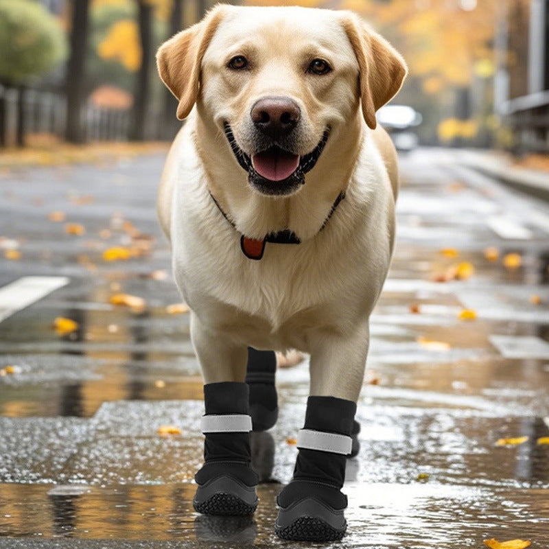 dog footweardog footwear