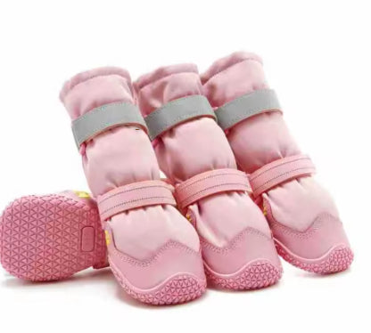 dog footwear