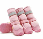 dog footwear