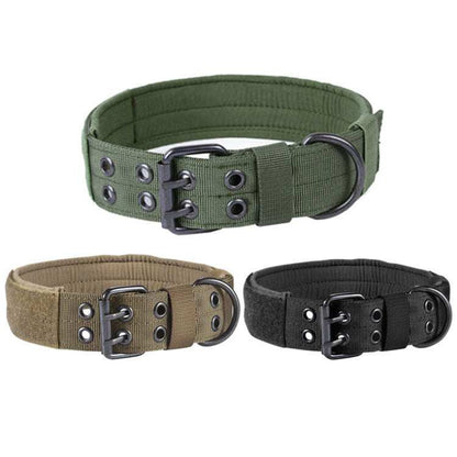 Adjustable nylon anti-grind dog leash collar with padded lining and metal buckle