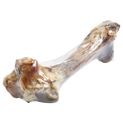 Giant dog bone grass-fed beef femur bone for large dogs with rich smoked flavor and nutritional benefits
