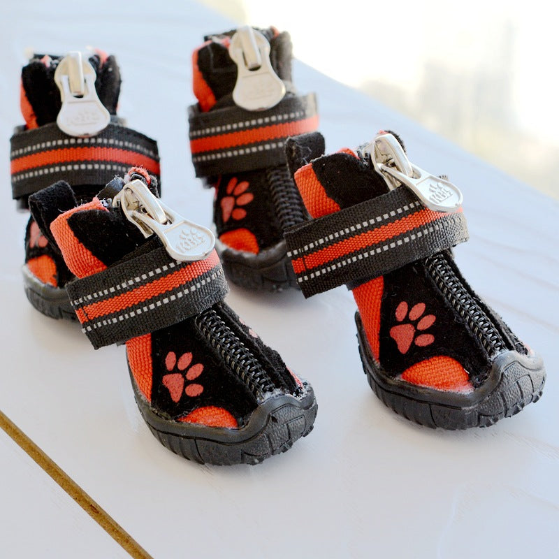 dog shoes