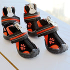dog shoes