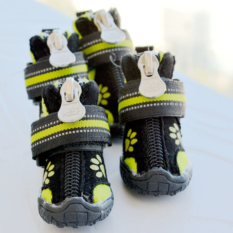 dog shoes