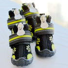 dog shoes