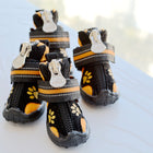 dog shoes