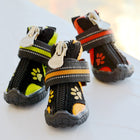 dog shoes