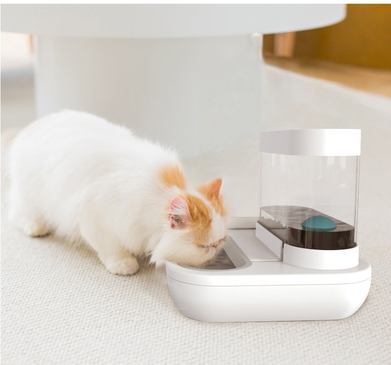 cat water fountain