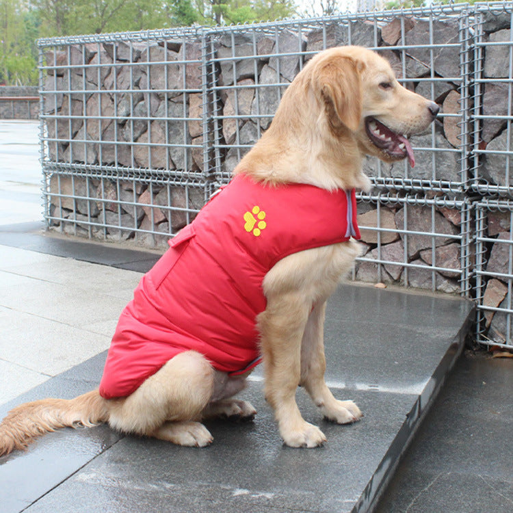 dog vest jacket