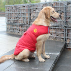 dog vest jacket