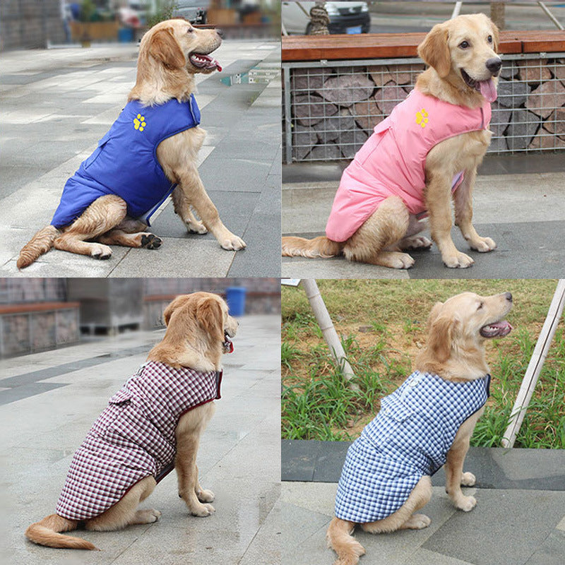 dog vest jacket
