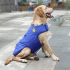 dog vest jacket