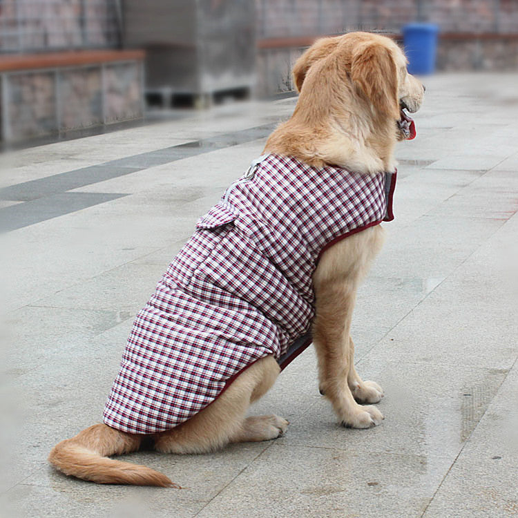 dog vest jacket