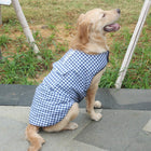 dog vest jacket