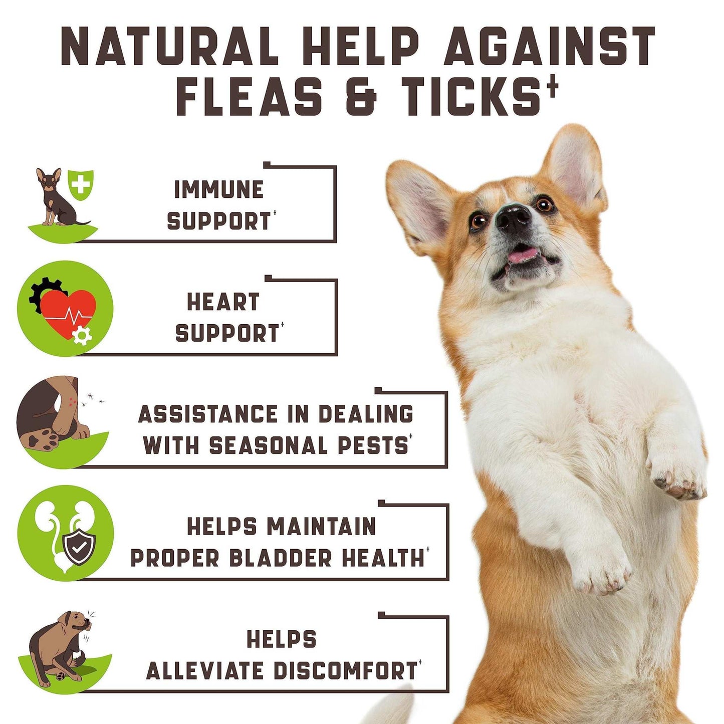 Chewable flea and tick prevention pills for dogs with natural vitamins and duck flavor