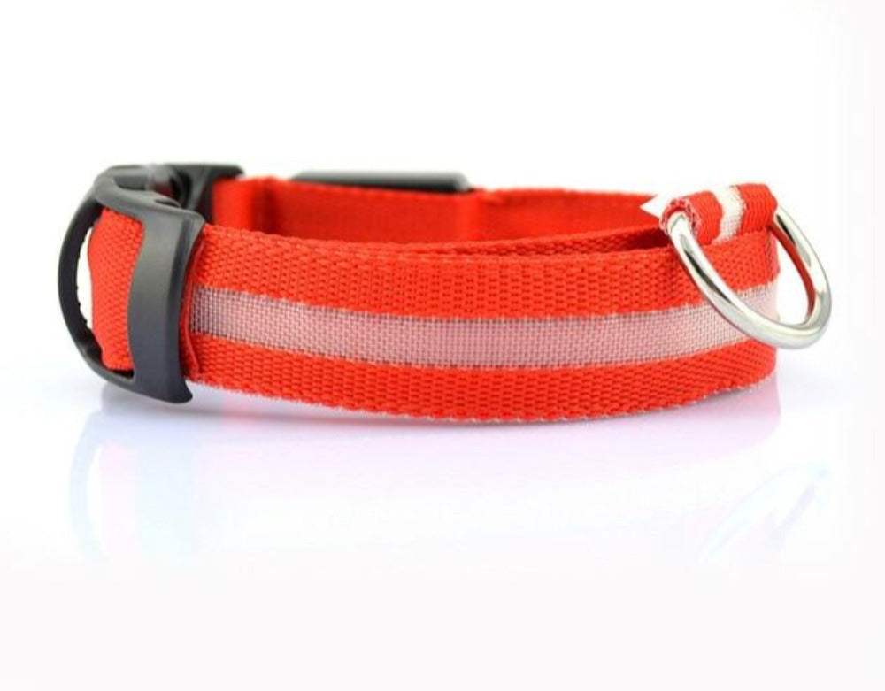 2 PCS Set Nylon LED Dog Collar cs06jp-nn.myshopify.com