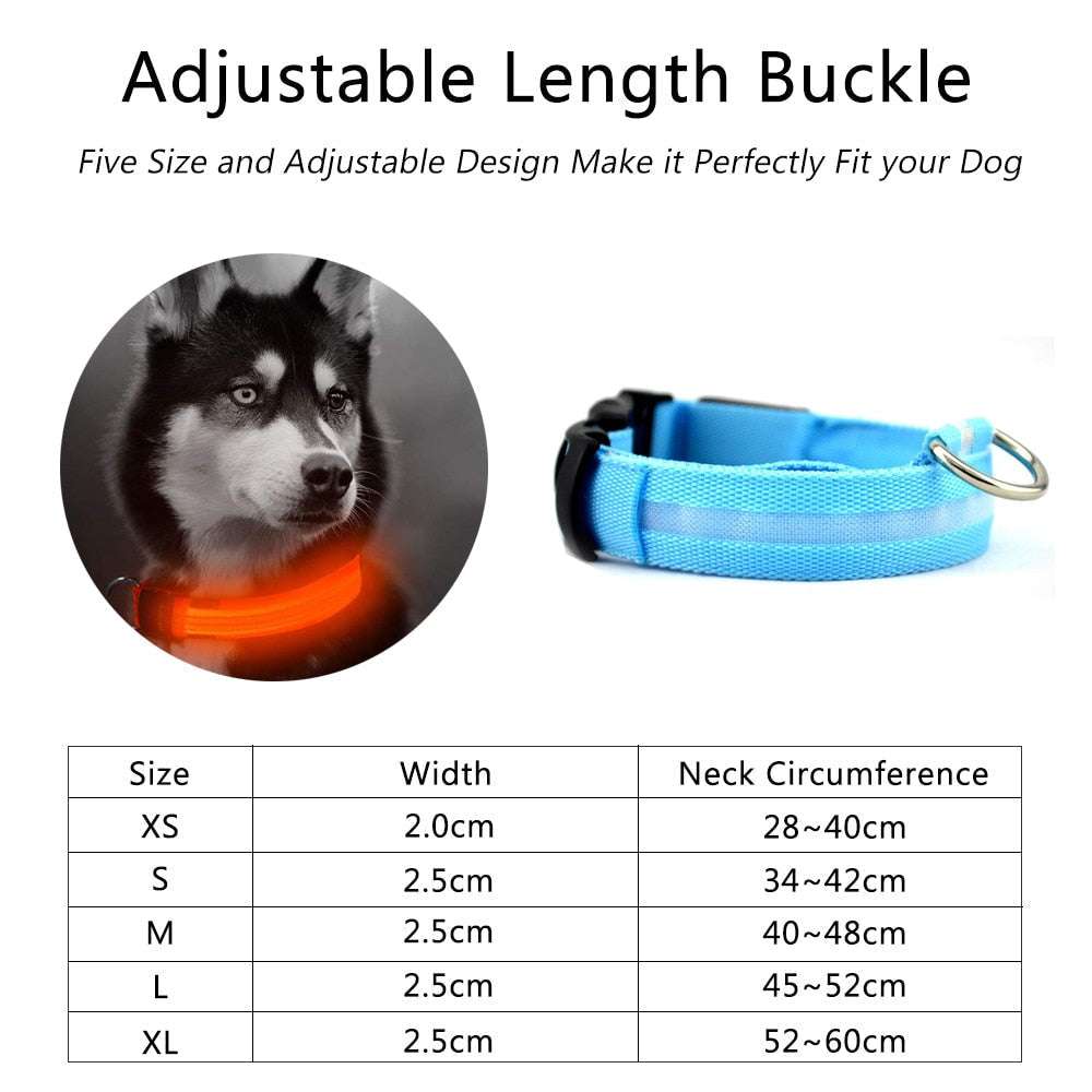 2 PCS Set Nylon LED Dog Collar cs06jp-nn.myshopify.com