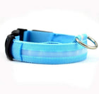2 PCS Set Nylon LED Dog Collar cs06jp-nn.myshopify.com