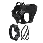 dog harness