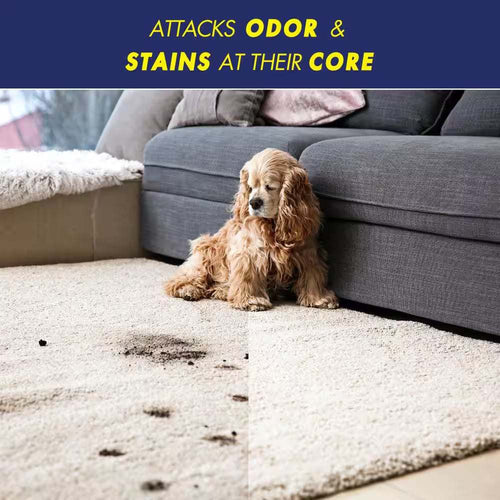 32 Oz. Pet Stain and Odor Eliminator Spray cs06jp-nn.myshopify.com