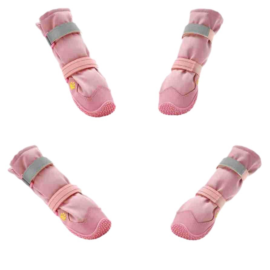 dog footwear