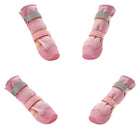 dog footwear