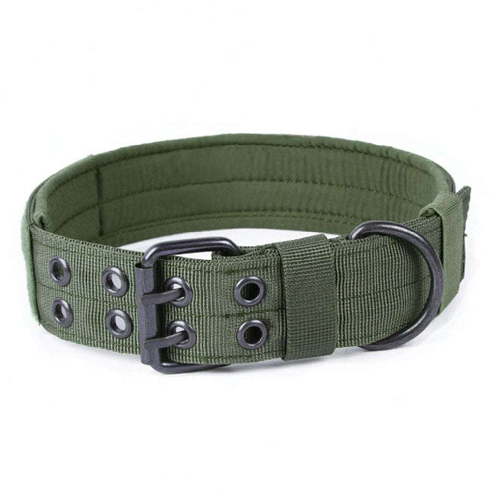 Thick nylon anti-grind dog leash collar with padded lining, adjustable straps, metal buckle, and Velcro name patch panel