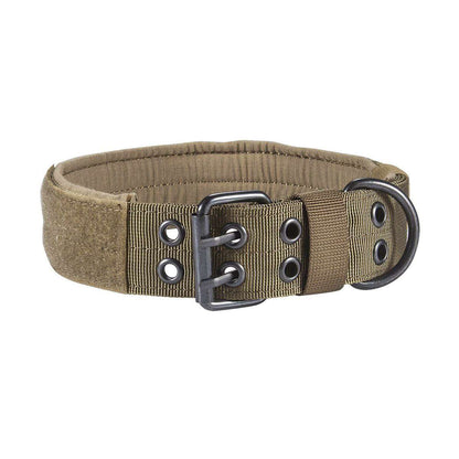 Nylon anti-grind dog leash collar with thick padded lining and adjustable metal buckle