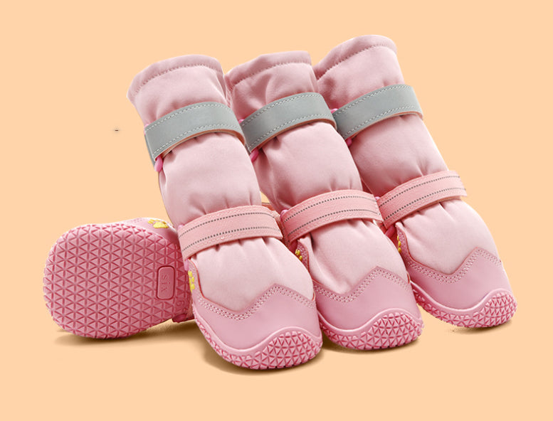 dog footwear
