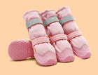 dog footwear