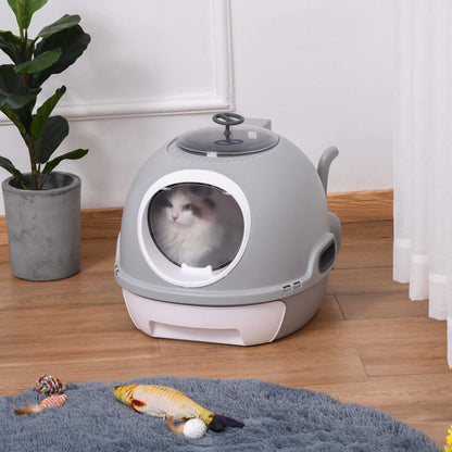 Modern cat litter box with lid and skylight for private use
