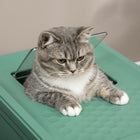 Fully Enclosed Cat Litter Box with Front Entry and Top Exit, Plastic, Green & White