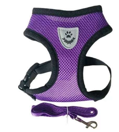 Fashionable multi-color dog harness with mesh chest and back design in various sizes and colors