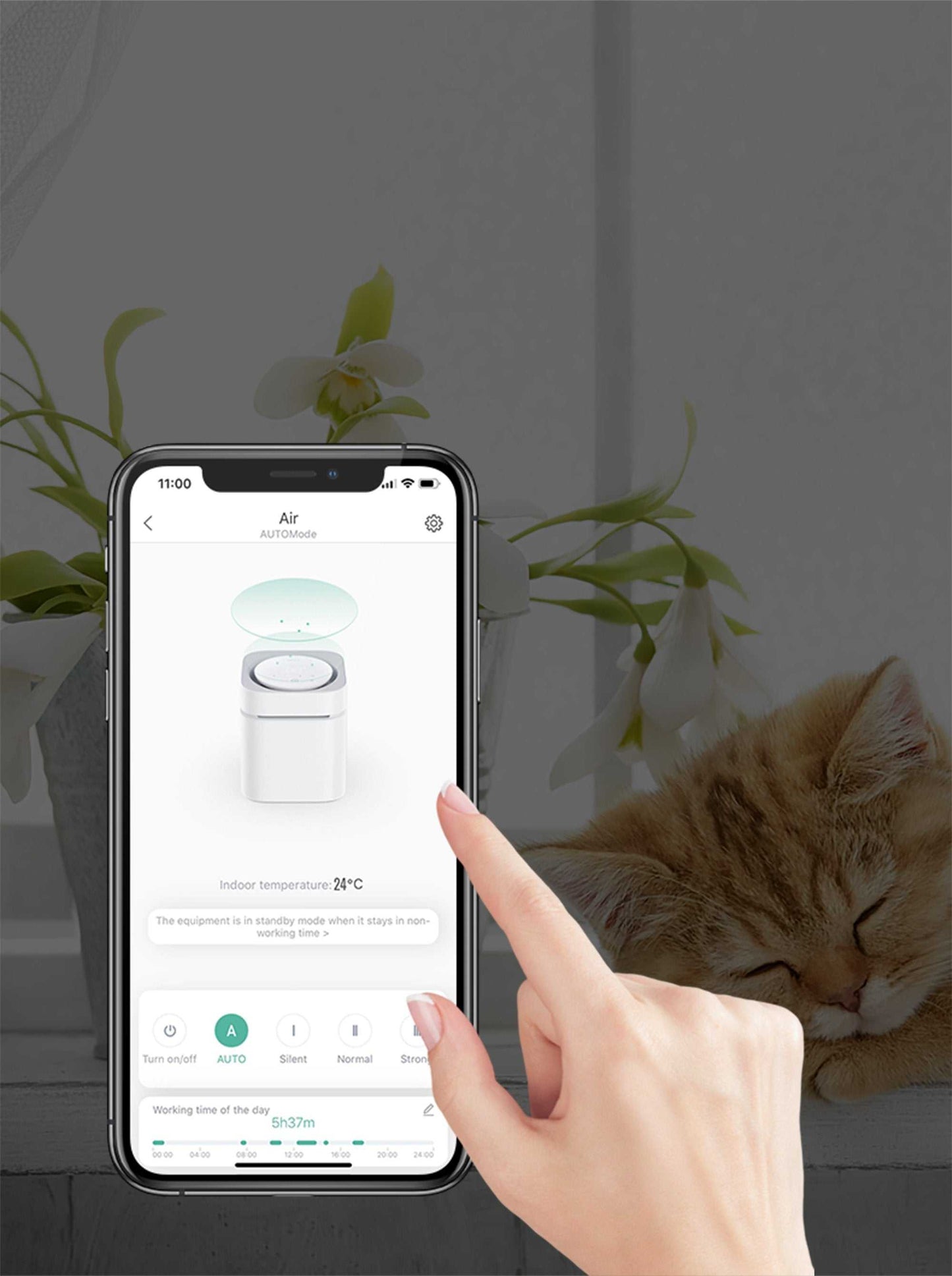 Instachew PETKIT Air Magicube smart white pet odor eliminator with remote app control