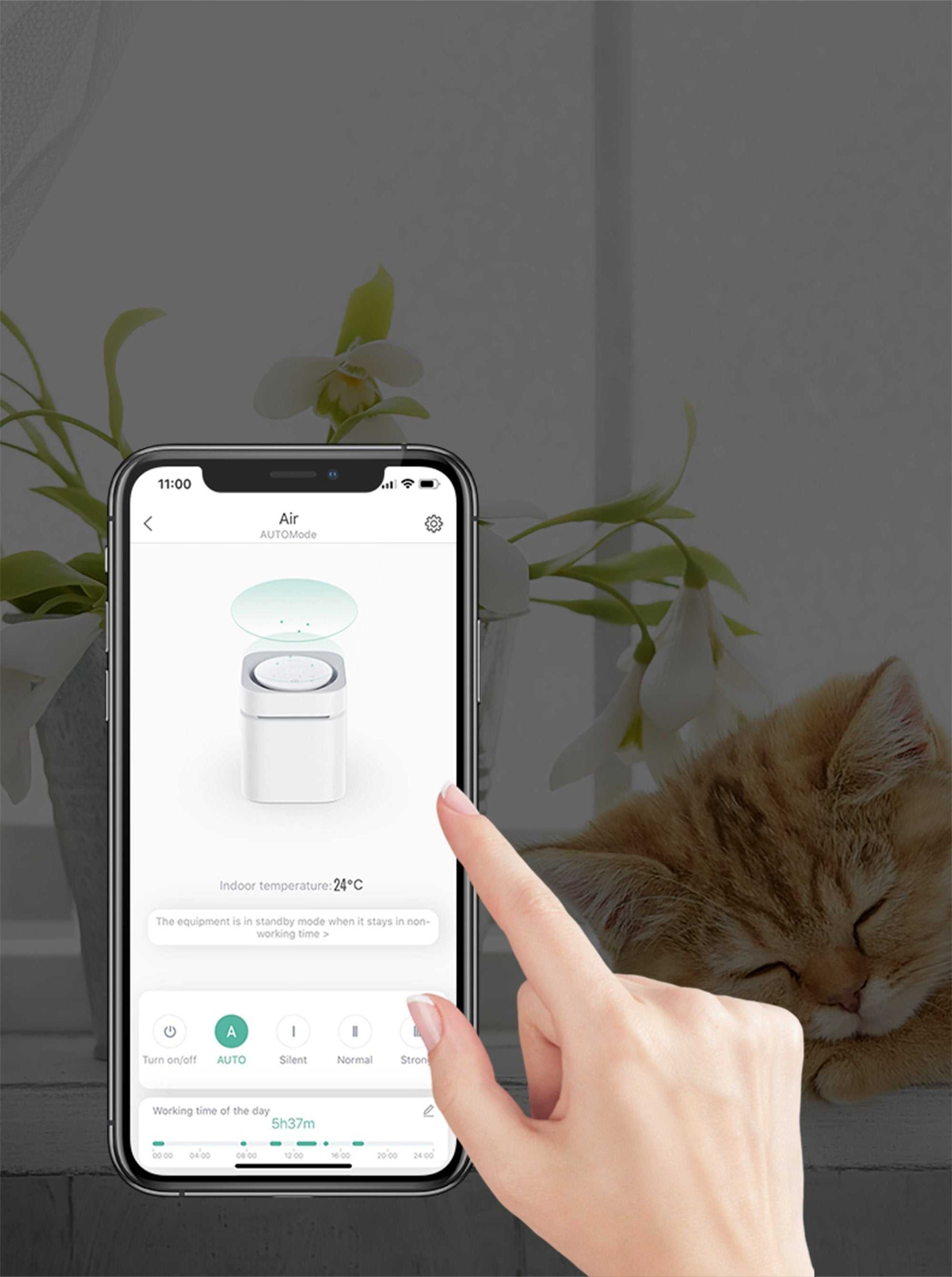 Instachew PETKIT Air Magicube smart white pet odor eliminator with remote app control