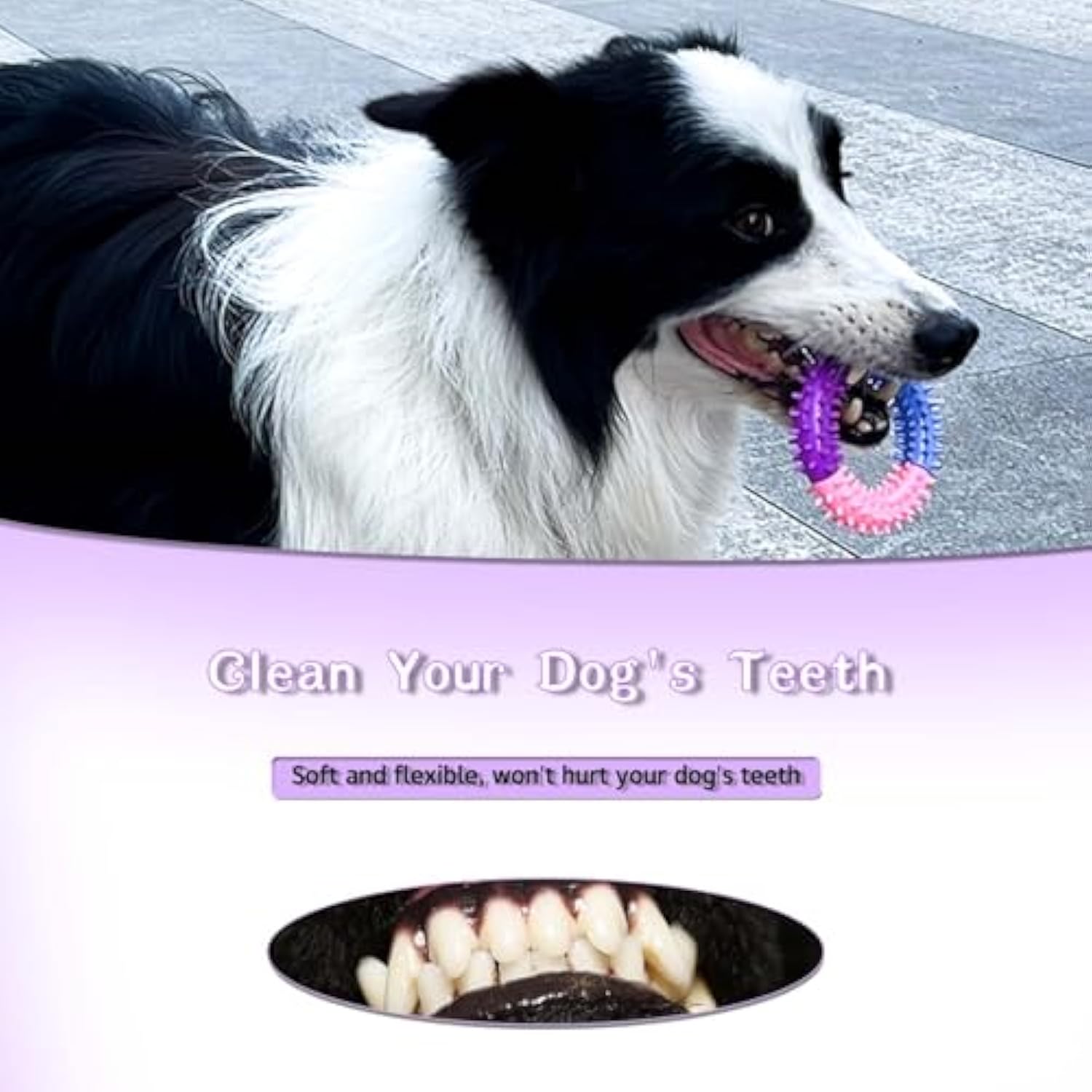 dog chew toys