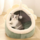 Adorable Dinosaur Pet House with Toy cs06jp-nn.myshopify.com