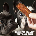 Chicken Jerky Dog Treats 1.5 Lb Human Grade Pet Snacks Grain Free cs06jp-nn.myshopify.com