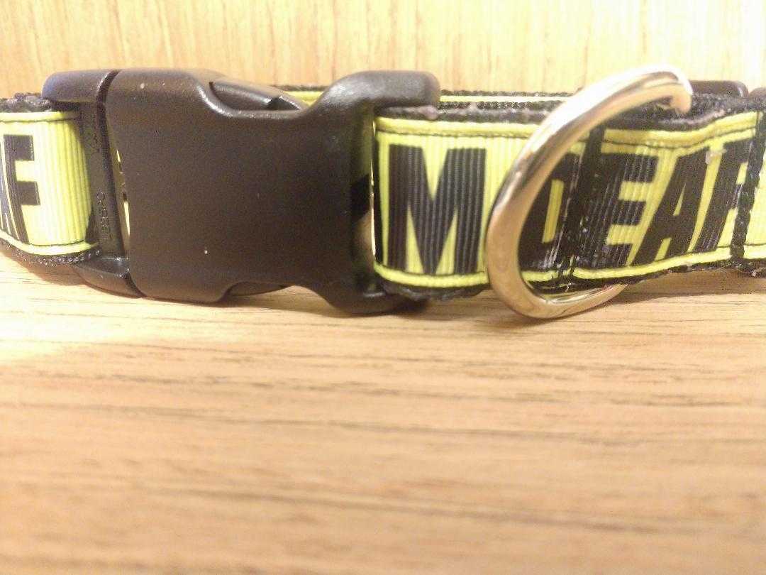 Large durable 6-foot leash with large handle and d-ring for dogs