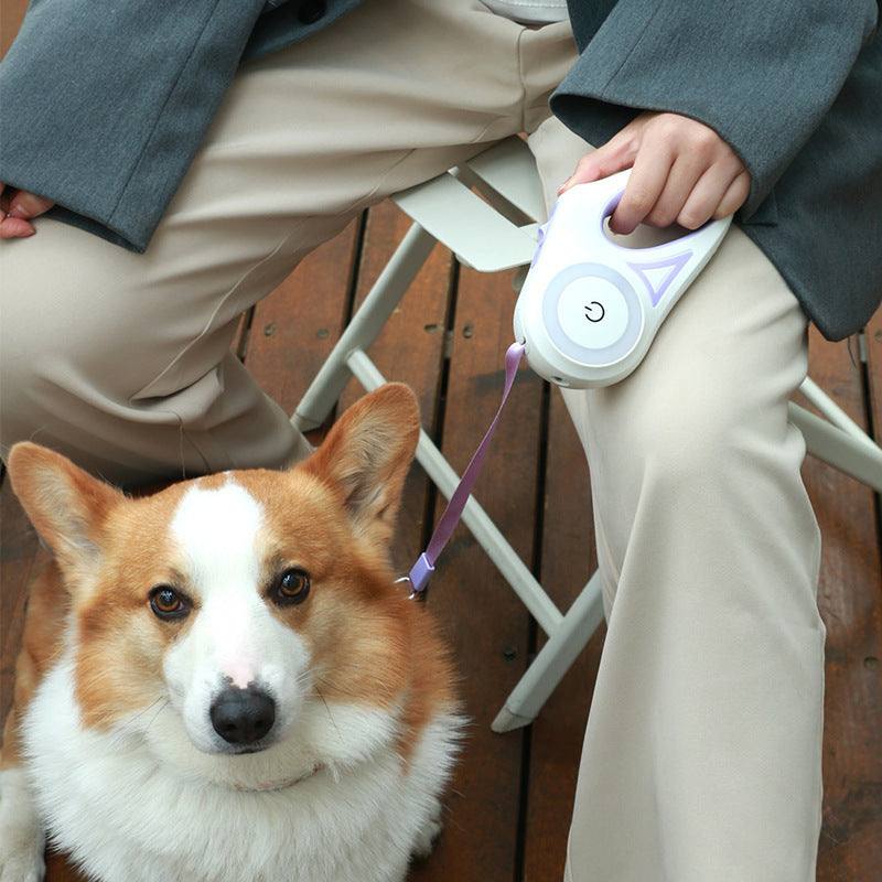 Dog Leash Retractable Leash And Dog Collar Spotlight Automatic Pet Dog cs06jp-nn.myshopify.com