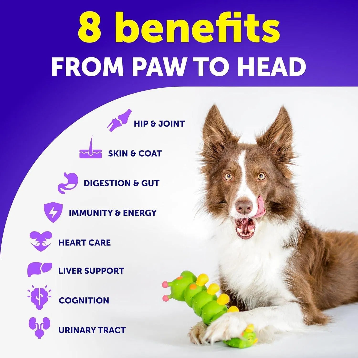 Dog Multivitamin Chewable With Glucosamine 20 In 1 Dog Vitamins And Supplements Senior & Puppy Multivitamin For Dogs Pet Joint Support Health Immunity Mobility Gut Skin 120 Chews cs06jp-nn.myshopify.com