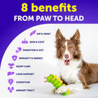 Dog Multivitamin Chewable With Glucosamine 20 In 1 Dog Vitamins And Supplements Senior & Puppy Multivitamin For Dogs Pet Joint Support Health Immunity Mobility Gut Skin 120 Chews cs06jp-nn.myshopify.com
