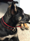 Durable Dog Collar - Red/Black cs06jp-nn.myshopify.com