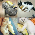 Electric Flipping Fish Toy for Cats cs06jp-nn.myshopify.com