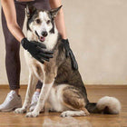 Fast Shipping 1 Pair Pet Grooming Gloves cs06jp-nn.myshopify.com