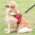 Fast Shipping Adjustable Dog Pet Harness cs06jp-nn.myshopify.com