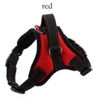 Fast Shipping Adjustable Dog Pet Harness cs06jp-nn.myshopify.com